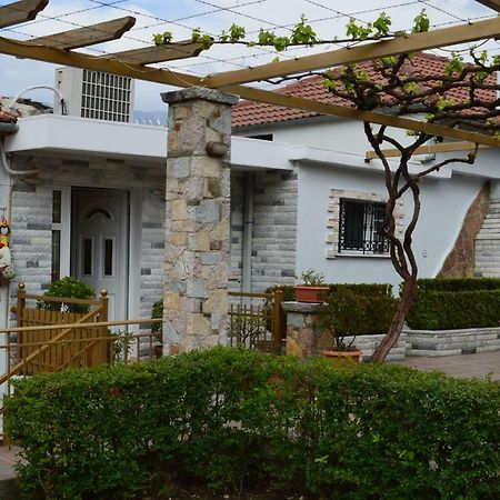 Vila Ss Kekezi Villa Gjirokastër Exterior foto
